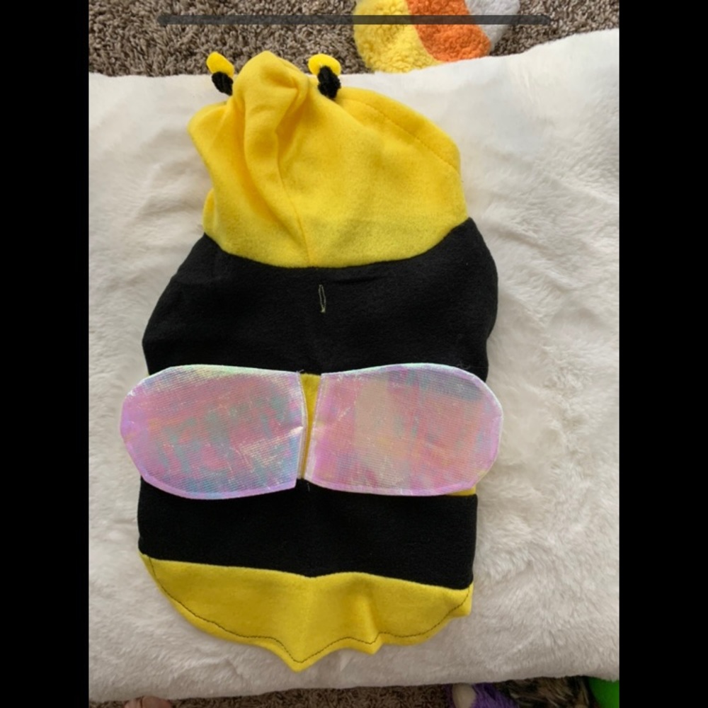 Bumble bee costume for dog/cat